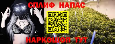 твердый Гатчина