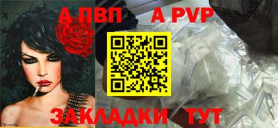 твердый Гатчина