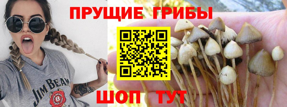 Псилоцибиновые грибы ЛСД  магазин продажи   Пыть-Ях  Вход с VPN 